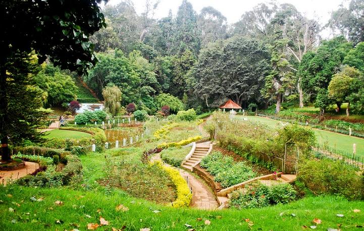 Sim’s Park